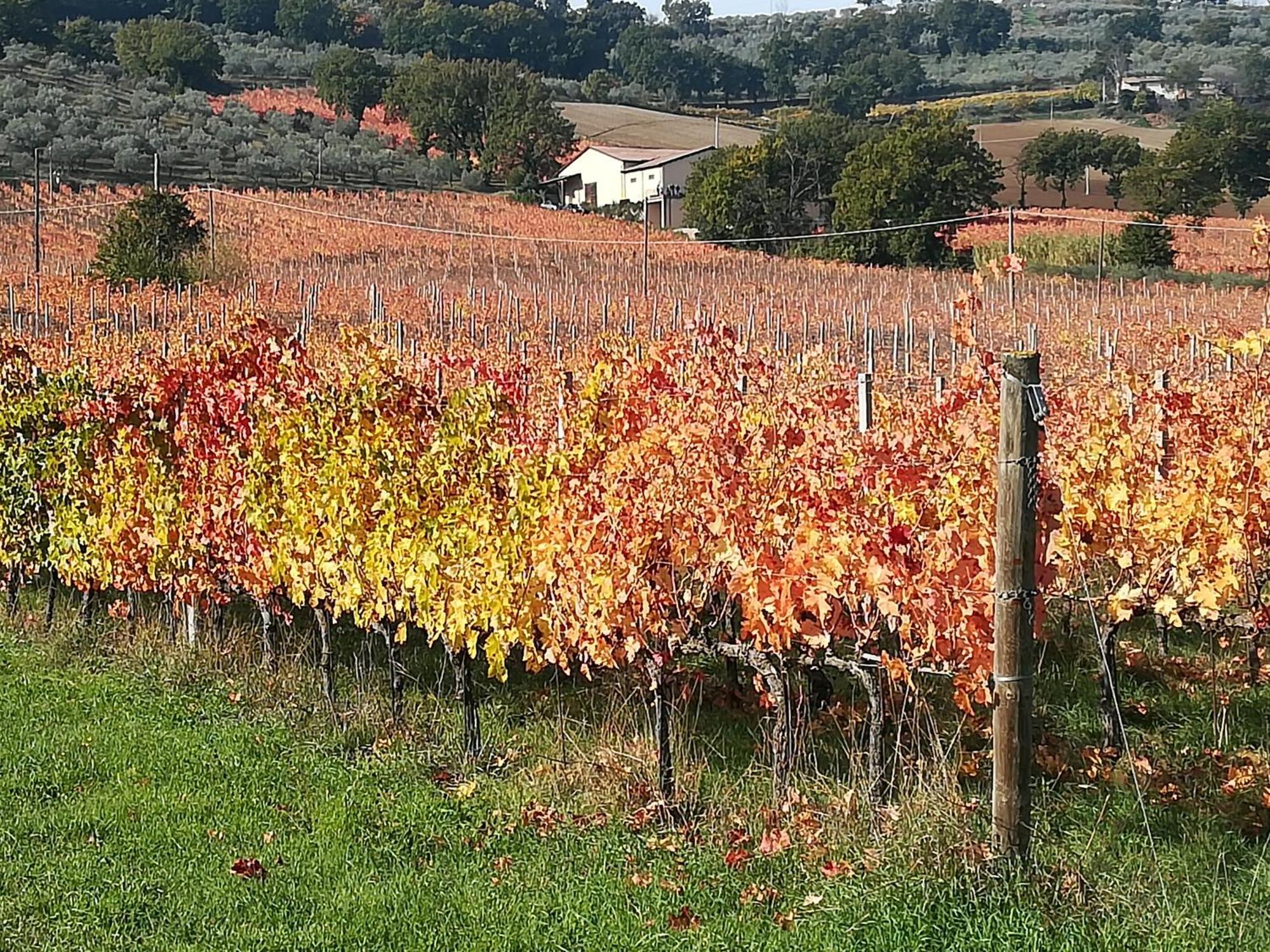 Antico Gioiello Umbro , Appartamento Con Terrazza Foligno Exterior photo